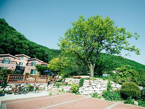 Utopia Pension 慶州市 エクステリア 写真